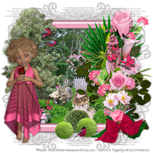 psp lessen mistys-creations.nl